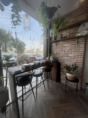 النجدى،، جدة 23523