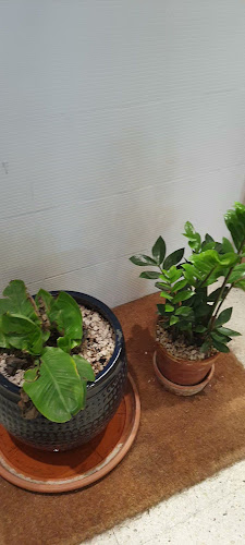 5439 شارع عثمان بن عفان، الريان, 7488، الدمام 32256