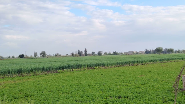 روما وى - الضيافة