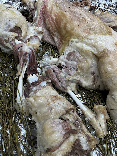 Opinii despre شواية اجيال în الظهران - الضيافة