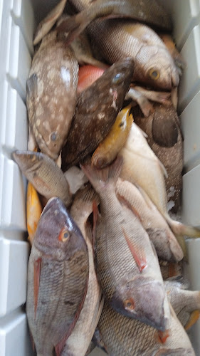 ربيانة السواحل - الضيافة