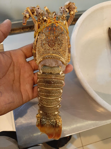 اسماك الحمراء - الضيافة