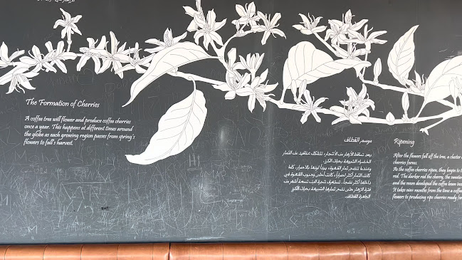 Comentarii opinii despre ستاربكس كافيه