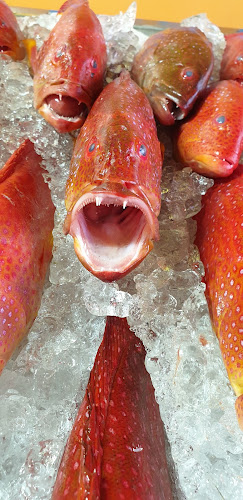 مطعم أسماك فسفور للمأكولات البحرية - الضيافة