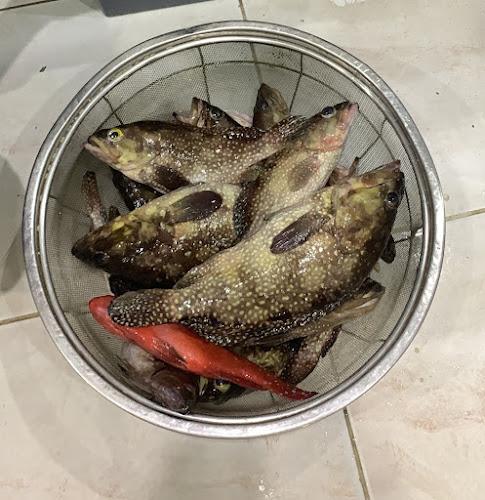 Comentarii opinii despre مطعم القبطان للاسماك الطازجة