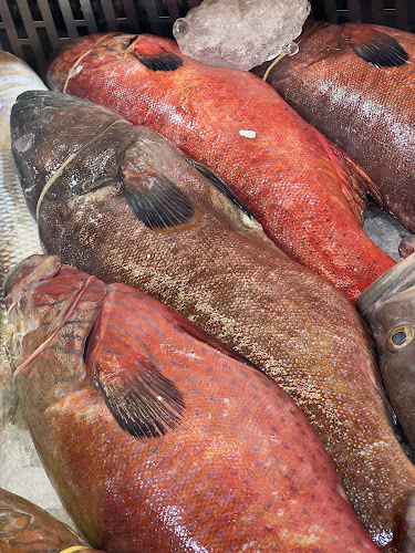 مطعم الصعيدي للأسماك الطازجة - الضيافة