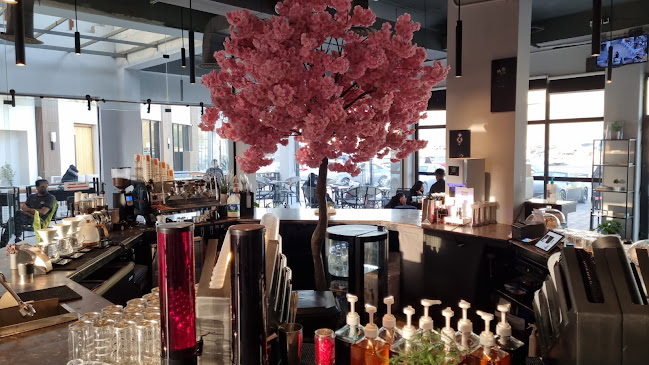 Comentarii opinii despre مدينة القهوة