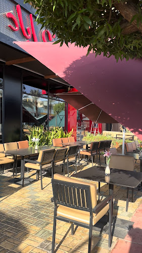 Comentarii opinii despre شيف اياد