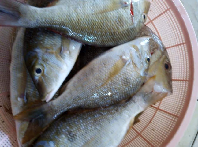 مطعم طرح البحر للماكولات البحرية - الدمام