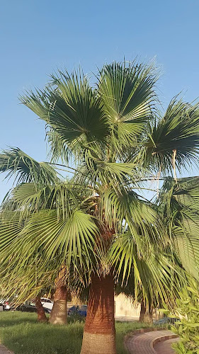 Night time coffee - الرياض