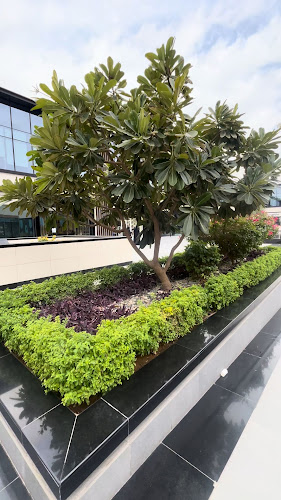 Comentarii opinii despre ذا زون كافيه