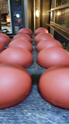 شركة التفاح الأخضر المحدوده - الضيافة