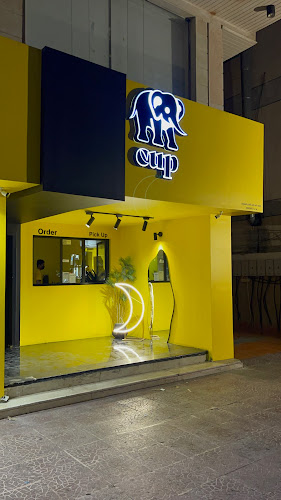 ايليفنت كب - elephant cup