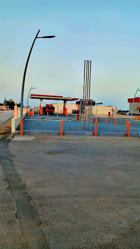 البكيرية 52736