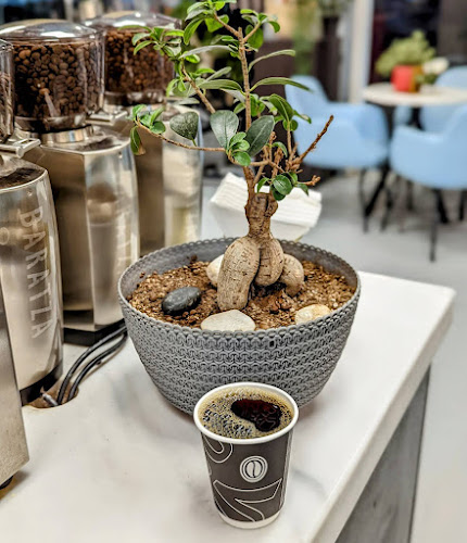 محمصة كيرف للقهوة المختصة - الرياض