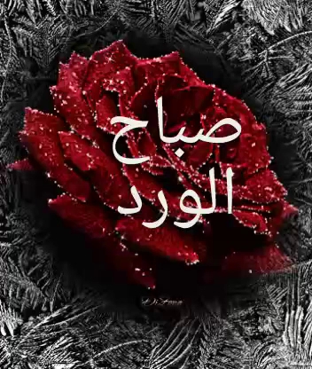 ماكدونالدز - الضيافة