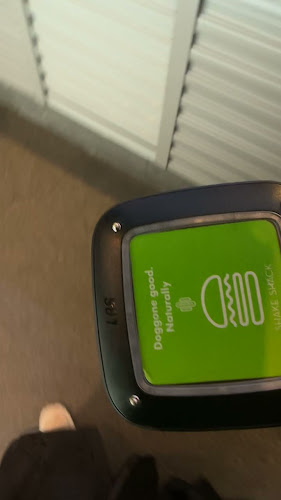 شيك شاك - الضيافة