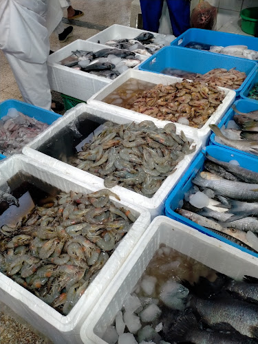 8814 طريق الملك عبدالله الفرعي، الوبرة، المدينة المنورة 42371