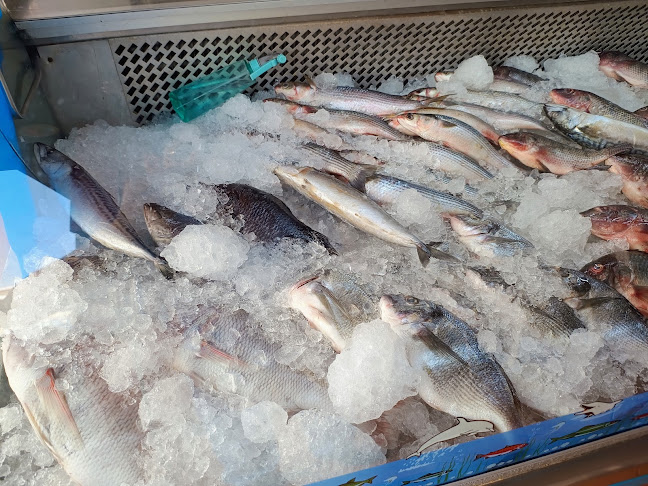 Comentarii opinii despre الصيّاد للإسماك