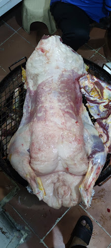 مطبخ العلمين - الضيافة