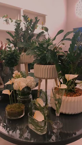 نباتات - الضيافة