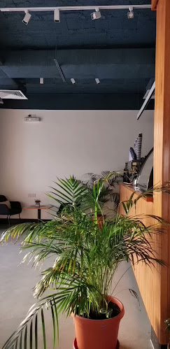 إكولايزر قهوة مختصة - ينبع