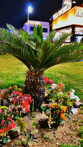 عالم الشاي - Tea World