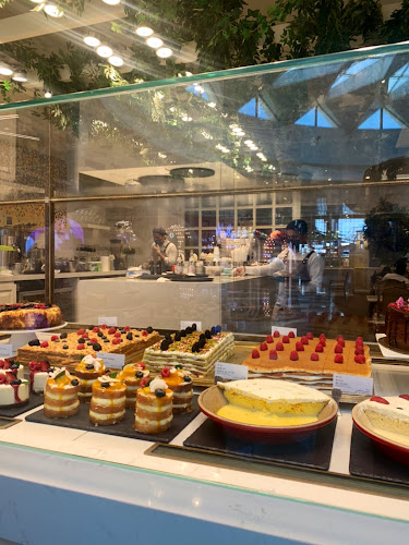 Comentarii opinii despre ليتو