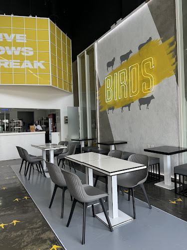 BIRDS | بيردز