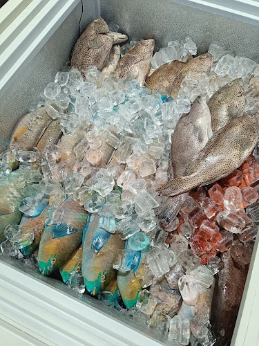 Comentarii opinii despre بيت البركة للأسماك