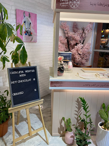 أبو بكر الصديق، الواحة، حفر الباطن 39913