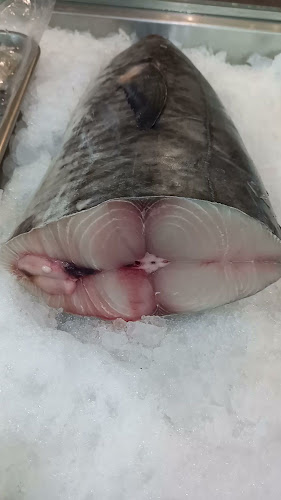 الشركة السعودية للأسماك