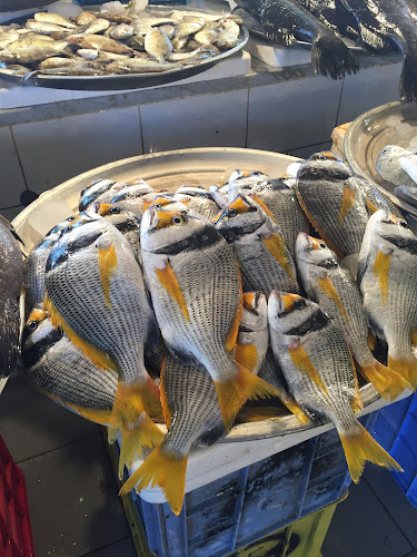 سوق السمك المركزي القطيف - القطيف‎