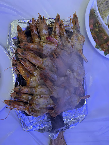 أسماك نوارة الإسكندرية - الرياض