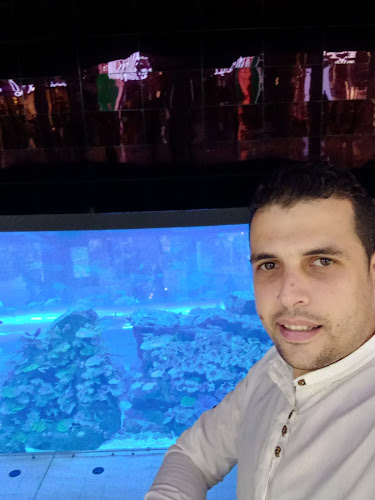 لؤلؤة الأسماك لبيع الأسماك الطازجة