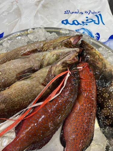 Opinii despre مطعم اسماك ومخبازة الخيمة للمأكولات الشعبية în مكة - الضيافة
