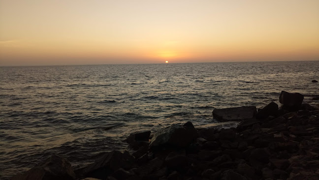 Comentarii opinii despre ستاربكس