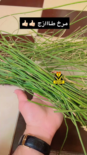 مطبخ النخبة للمندي والحنيذ بالمرخ (حجز مسبق) - الرس