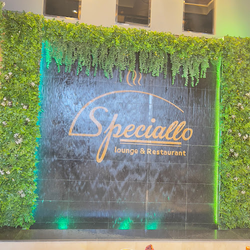 Comentarii opinii despre مطعم ولاونج سبيشلو