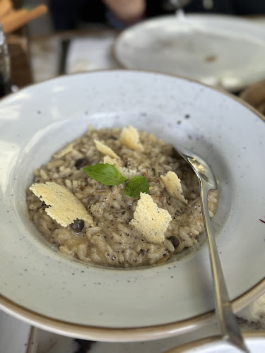 دلفينو - الضيافة