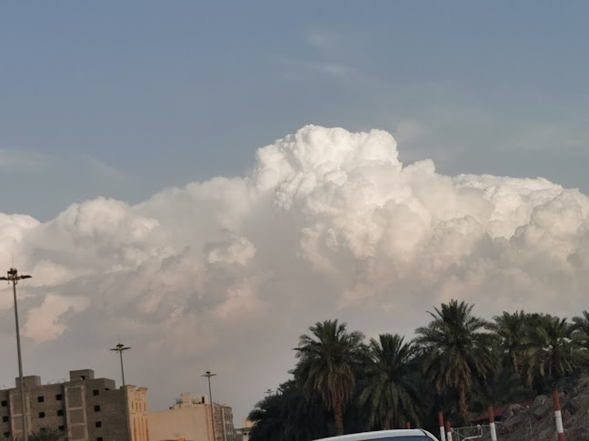 Opinii despre شارع ساري în المدينة المنورة - الضيافة