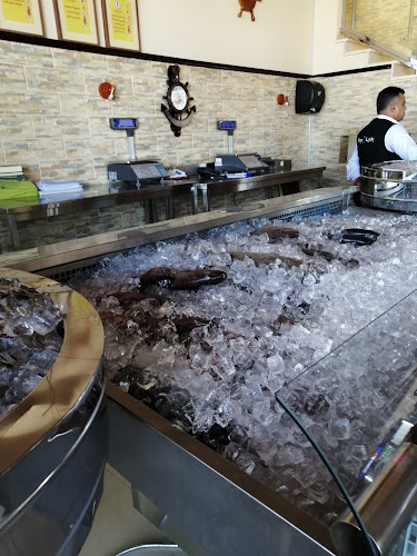 Comentarii opinii despre Bahrya مطاعم بحرية الهجرة