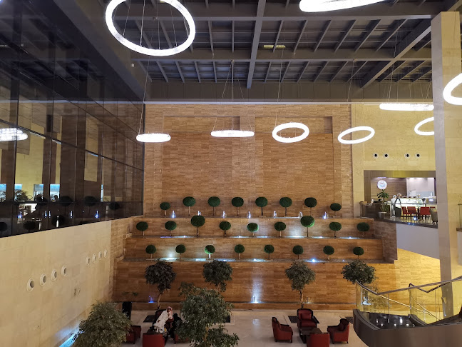 سكاي لايت - الضيافة