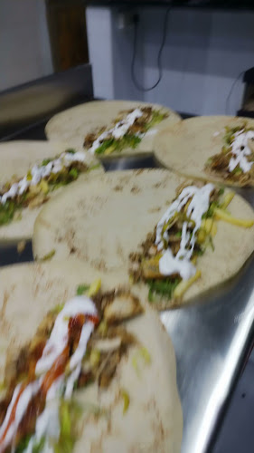 شاورما الباشا