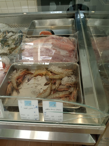 سمكيات فرع الخرج