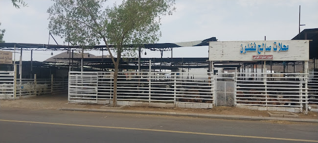 Opinii despre محلات صالح فضلون لبيع المواشي în المدينة المنورة - الضيافة