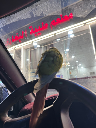 مطعم طيبة البخاري - الضيافة