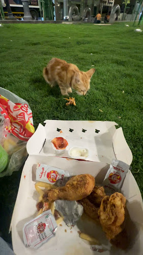 Madinah food street - المدينة المنورة