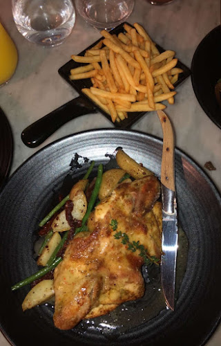 ذي سوشل كتشن