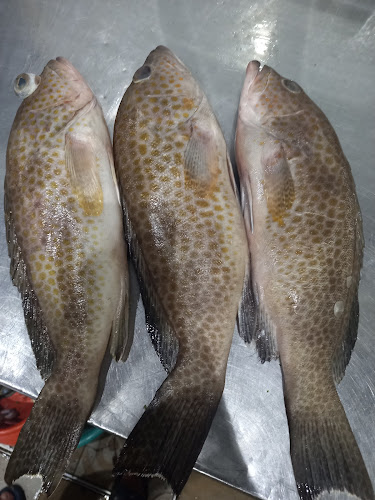 لؤلؤة الأسماك لبيع الأسماك الطازجة - الطائف